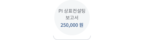 파이특허 총 비용